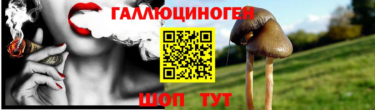 Псилоцибиновые грибы мухоморы Ангарск